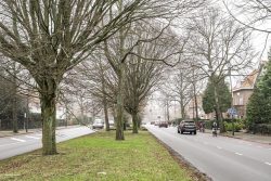 Heemstede – Heemsteedse Dreef 270 – Foto 49