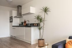 Haarlem – Zijlweg 148C 406 – Foto 5