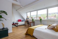 Haarlem – Tesselschadestraat 21 – Foto 15