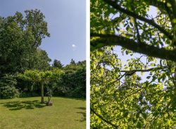 Aerdenhout – Schulpweg 8 – Foto 16