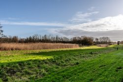 Velserbroek – Kluut 17 – Foto 33