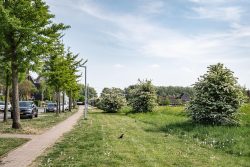 Vijfhuizen – Schans 75 – Foto 33